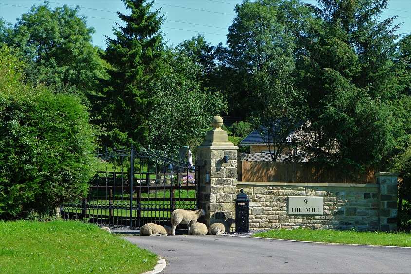 Evenwood Mill Sheep